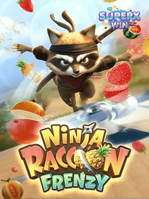 Ninja Raccoon Frenzy